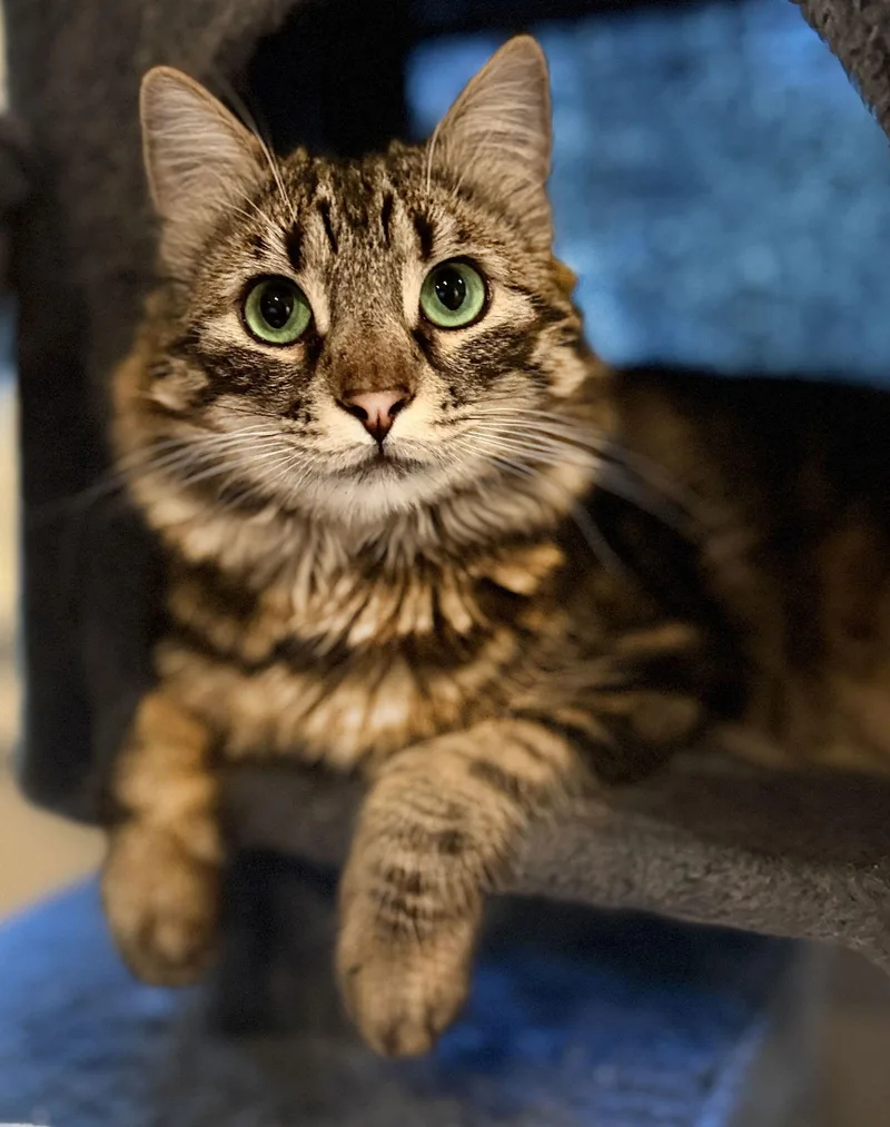 Hazel And Hudson thumbnail 2