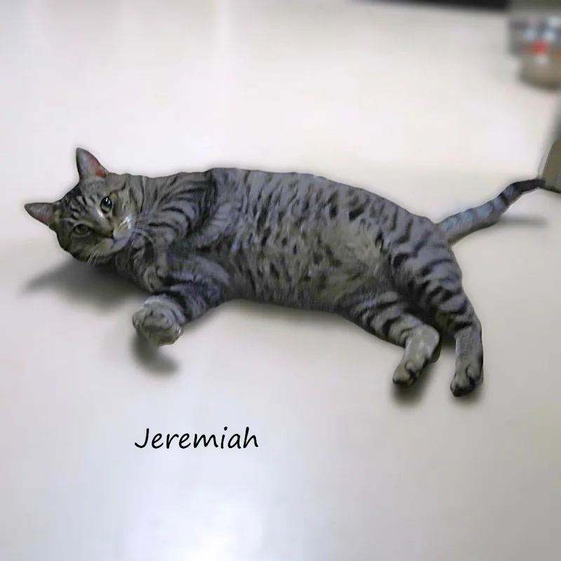 Jeremiah thumbnail 6