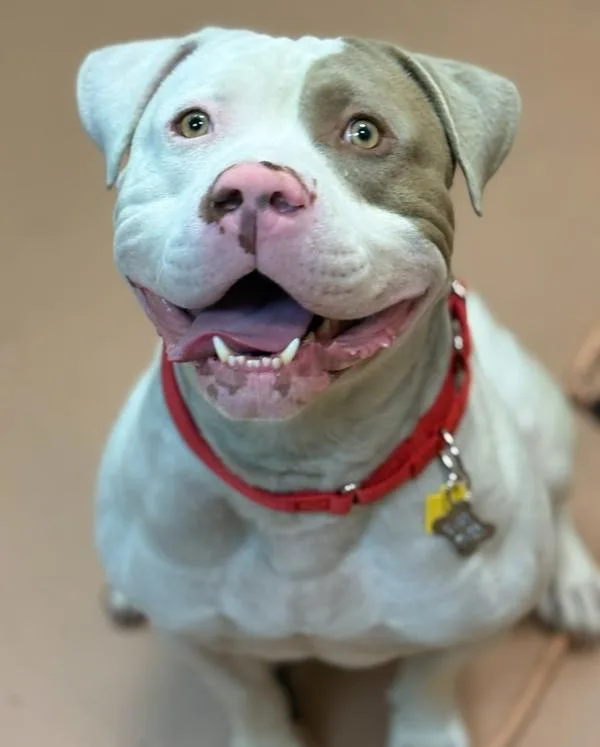 Clifford