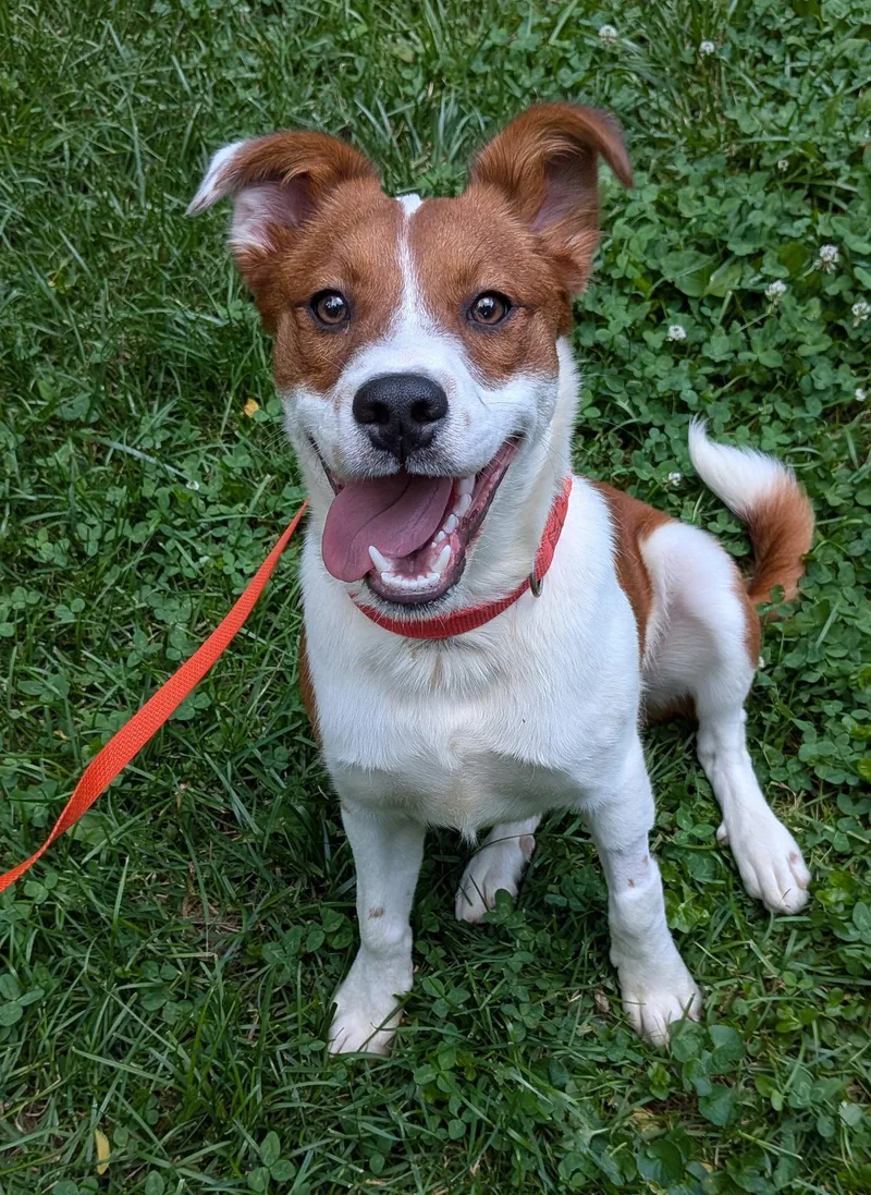 Tucker