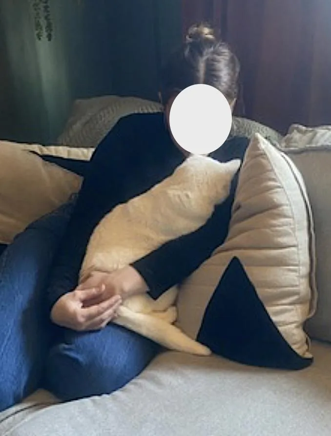 Fancy And Felix thumbnail 4