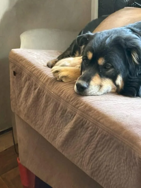 Little Bear thumbnail 2