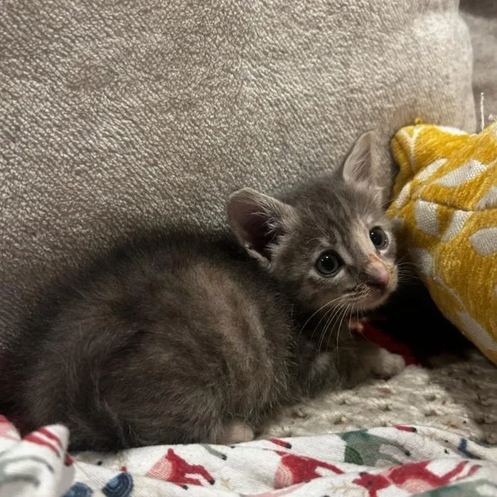 Thimble