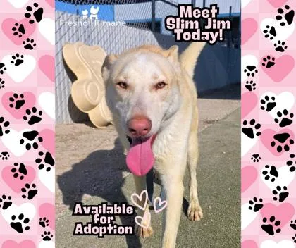 Slim Jim thumbnail 3