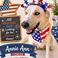 Annie Ann