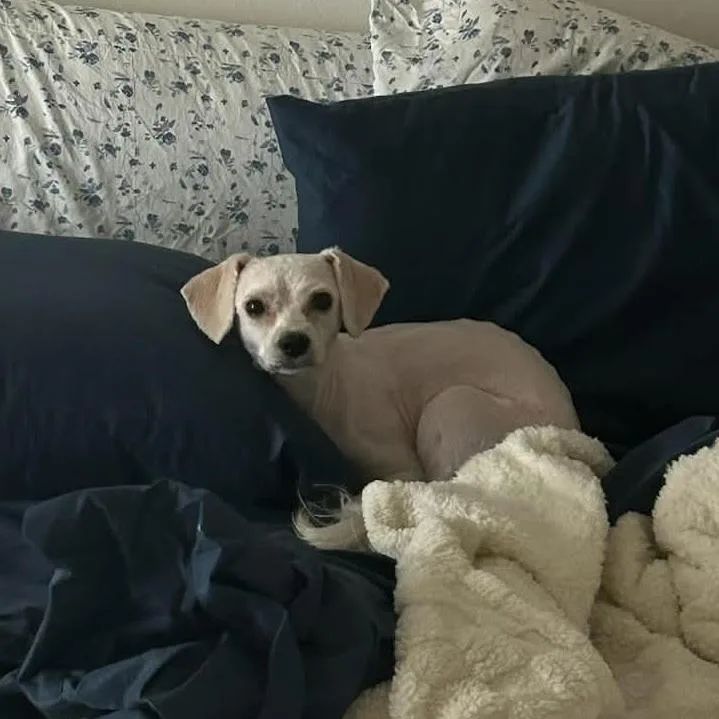 Flipp D Arriving thumbnail 2