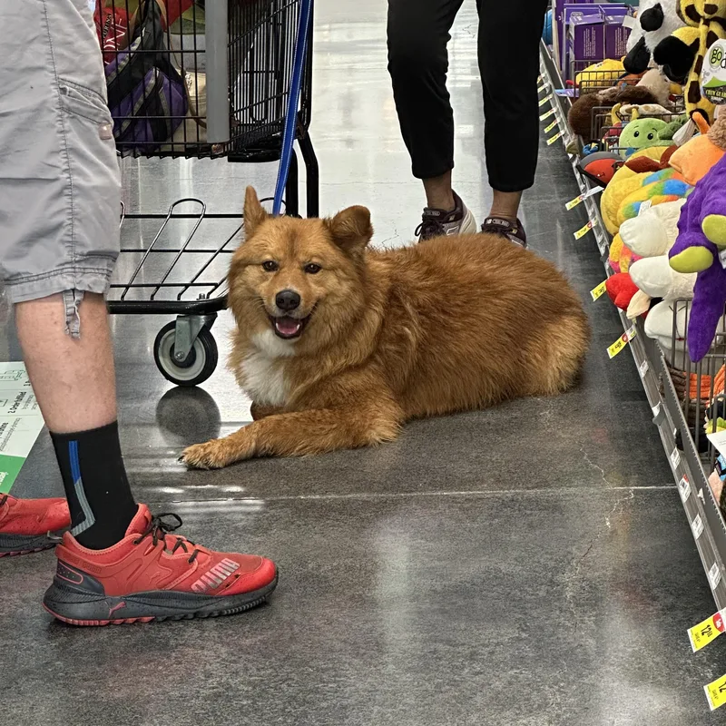 Lucas Ray Jackson thumbnail 2