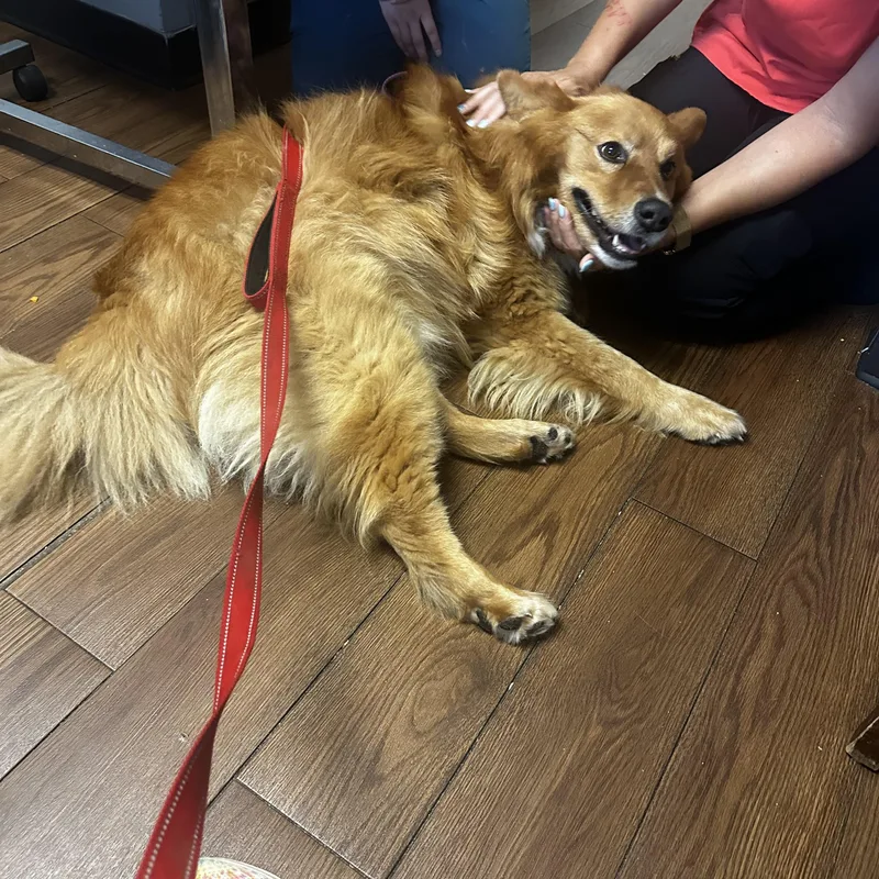 Lucas Ray Jackson thumbnail 3