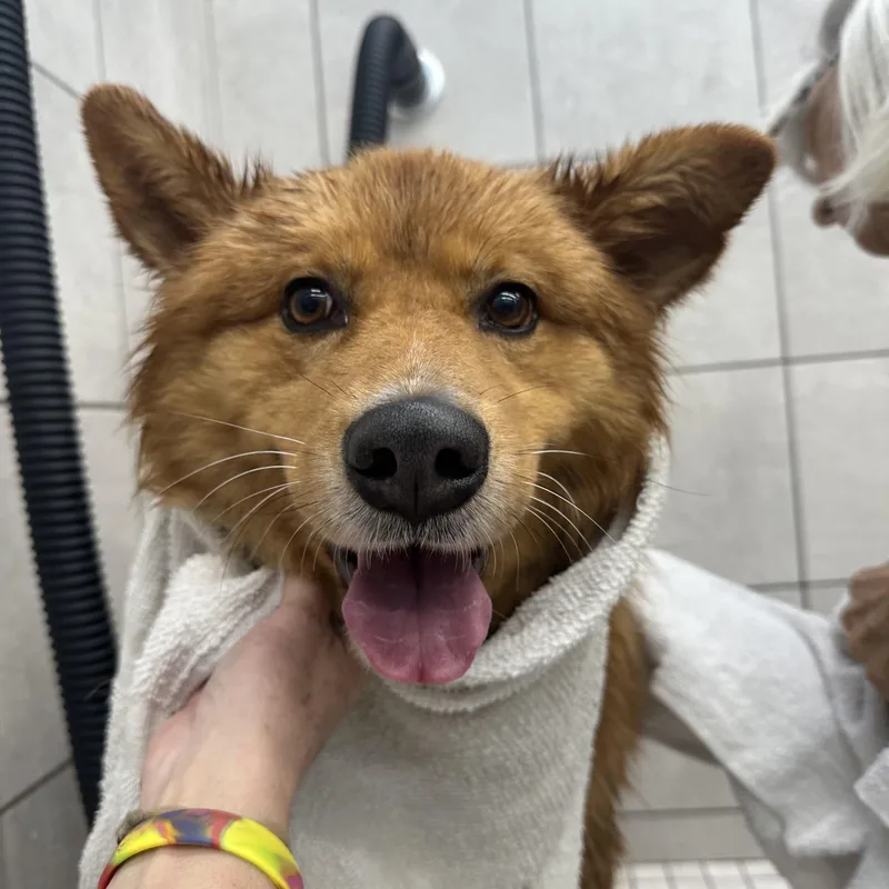 Lucas Ray Jackson thumbnail 5