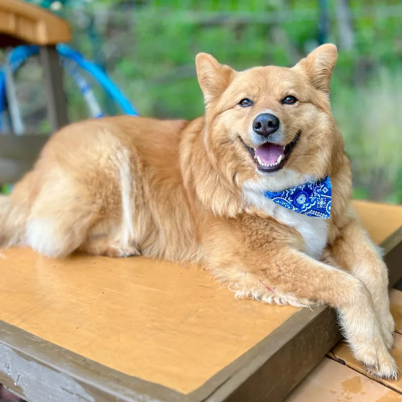 Lucas Ray Jackson thumbnail 6