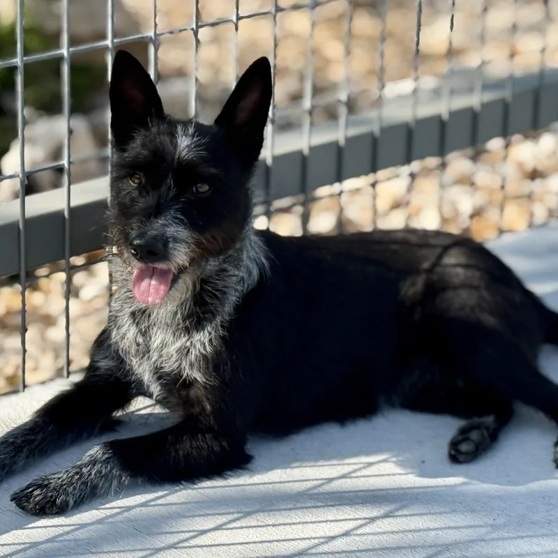 Delaney  Playful Sweet thumbnail 2