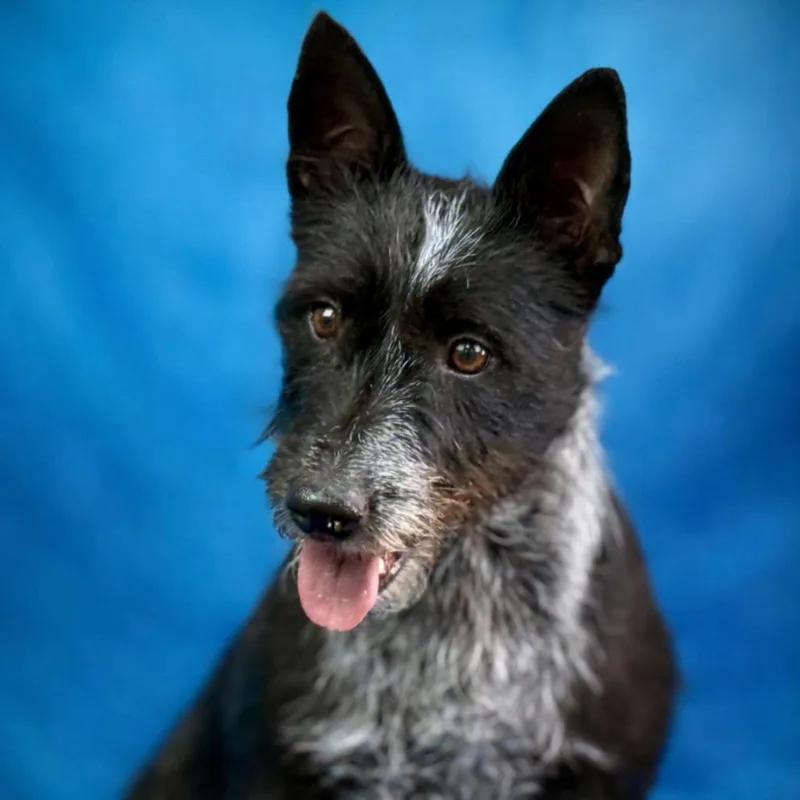 Delaney  Playful Sweet