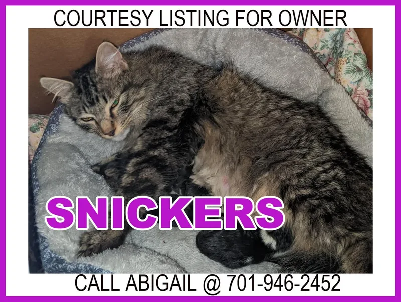 Snickers  Courtesy Listing