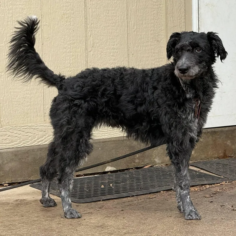 Munchkin thumbnail 2