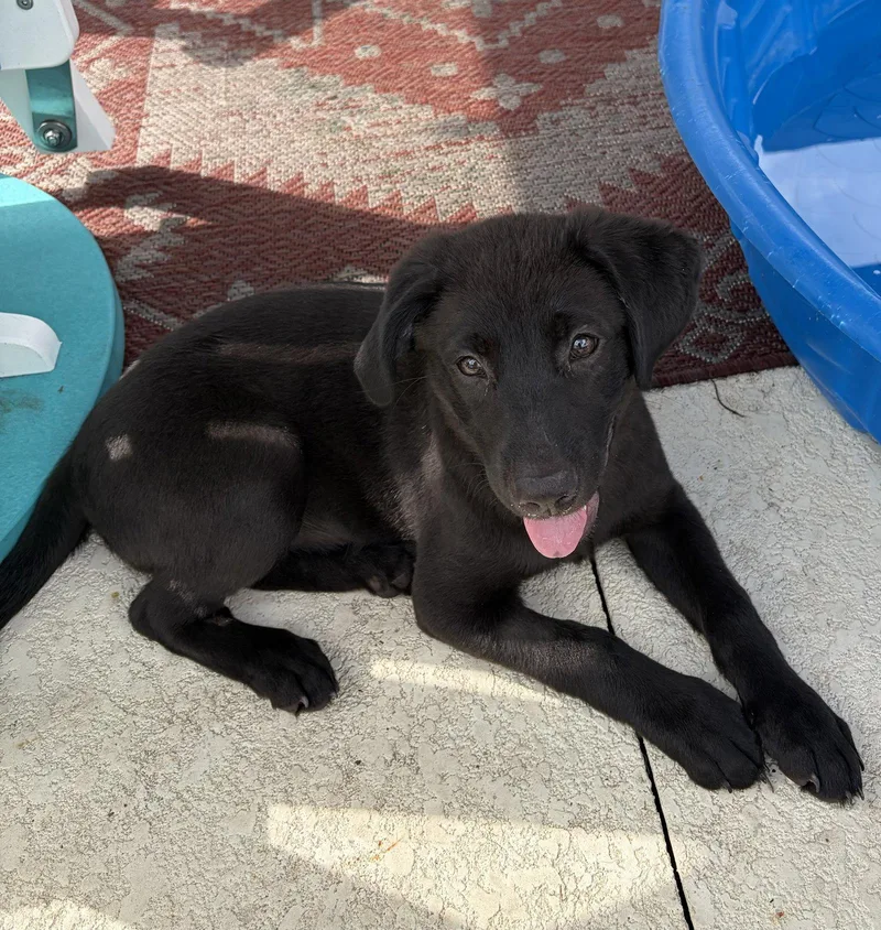 Ellie