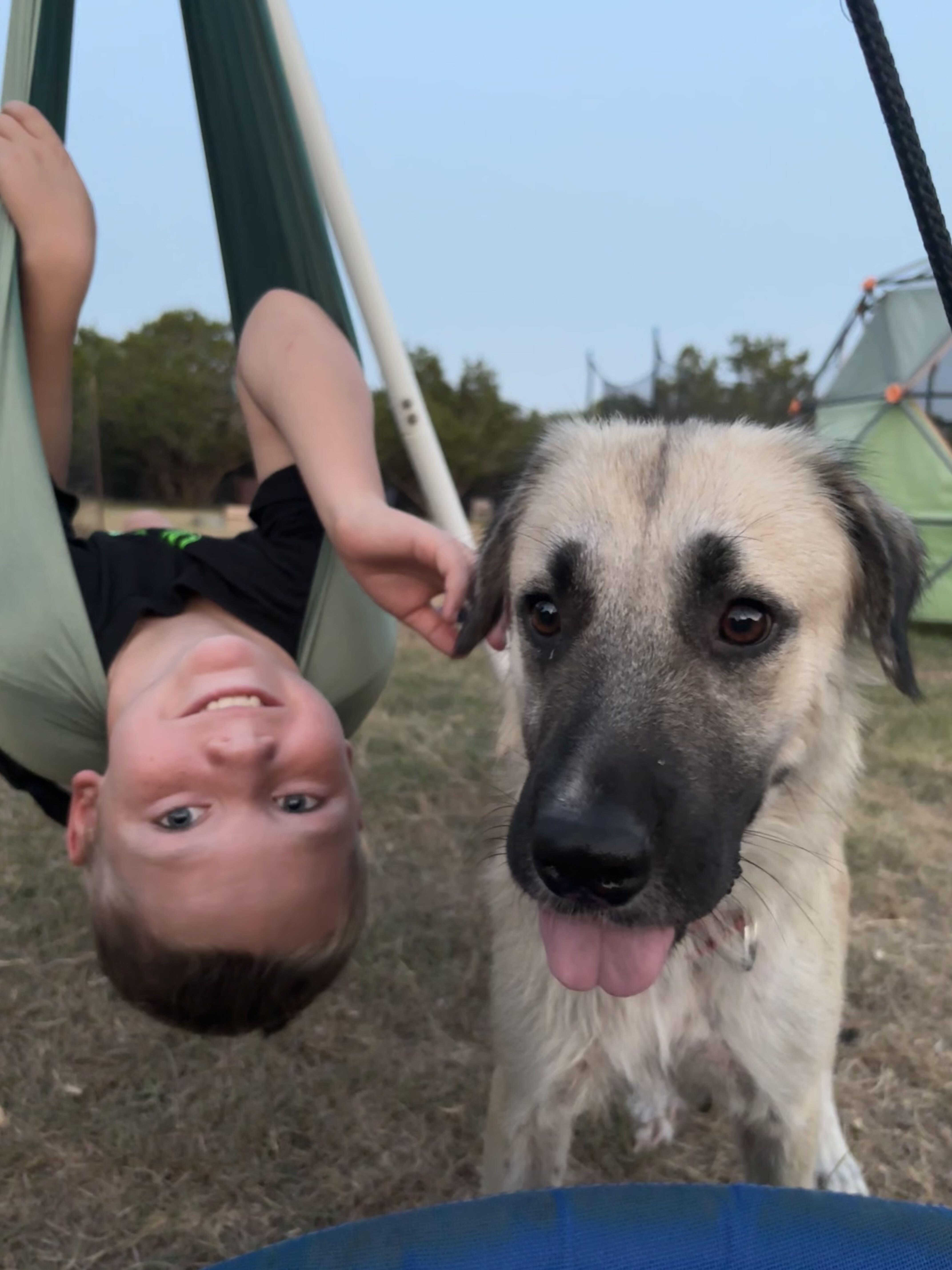 Adora thumbnail 5
