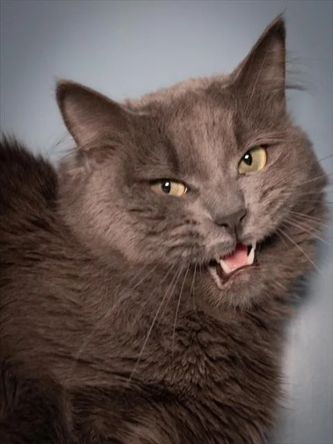 Max