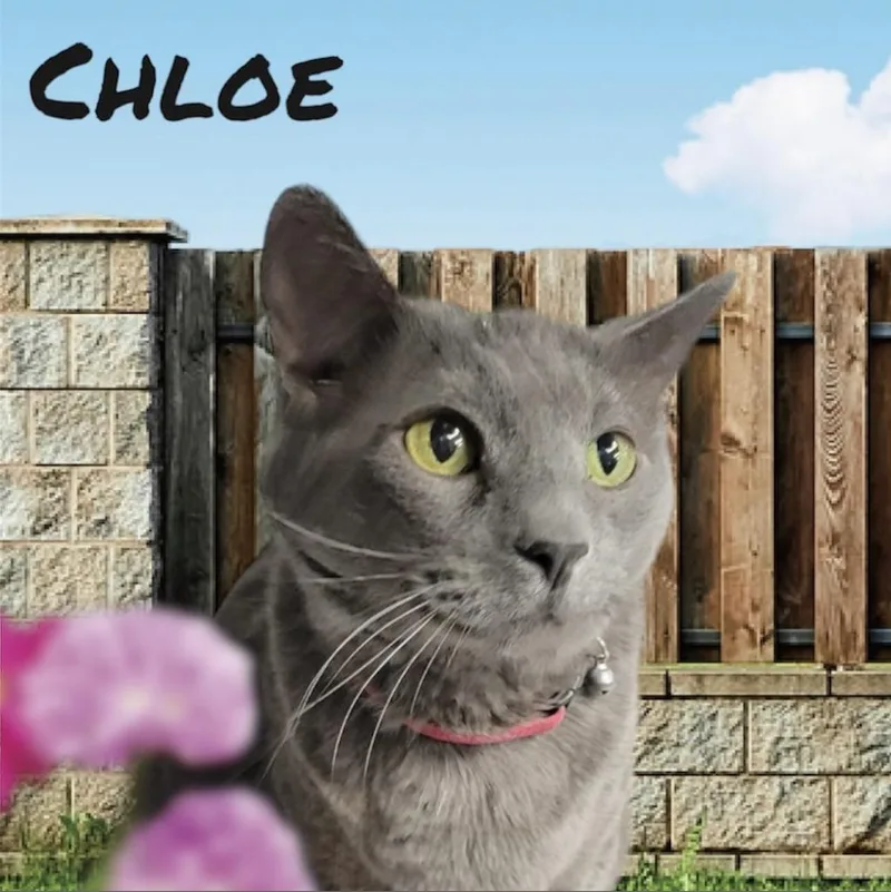 Chloe thumbnail 2