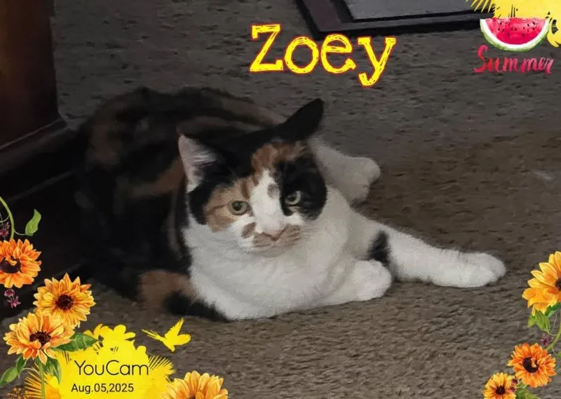 Zoey thumbnail 4