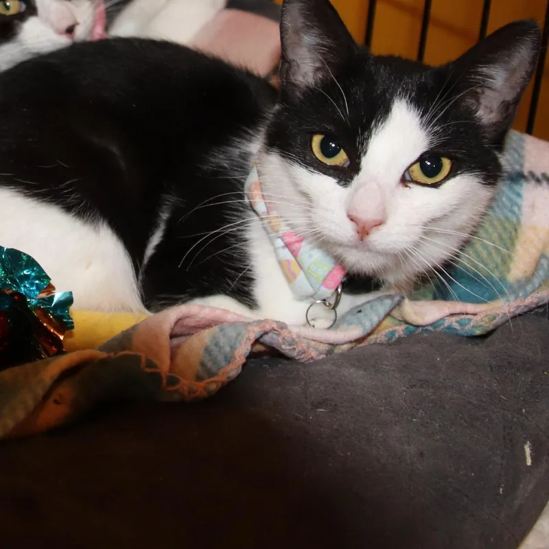 Maybelline thumbnail 2