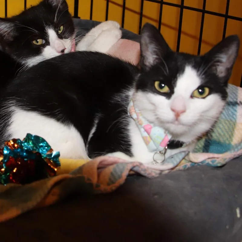 Maybelline thumbnail 5