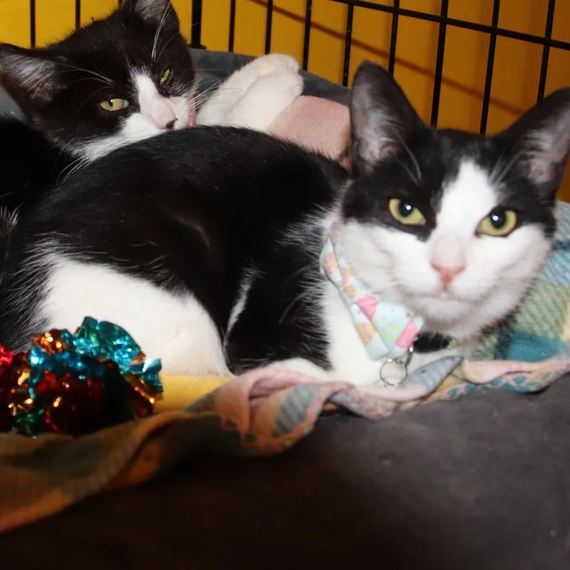 Maybelline thumbnail 6