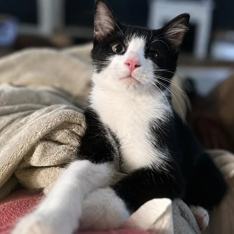 Murphy