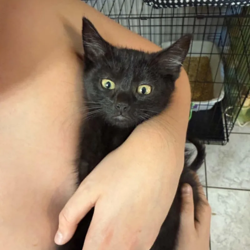 Winifred thumbnail 3