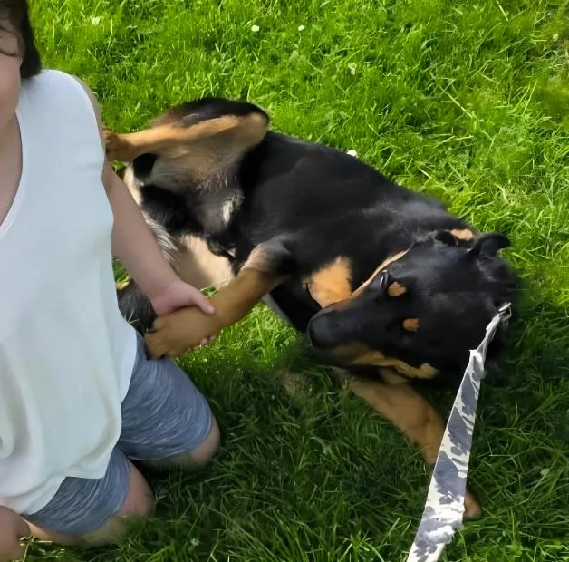 Rocco thumbnail 2