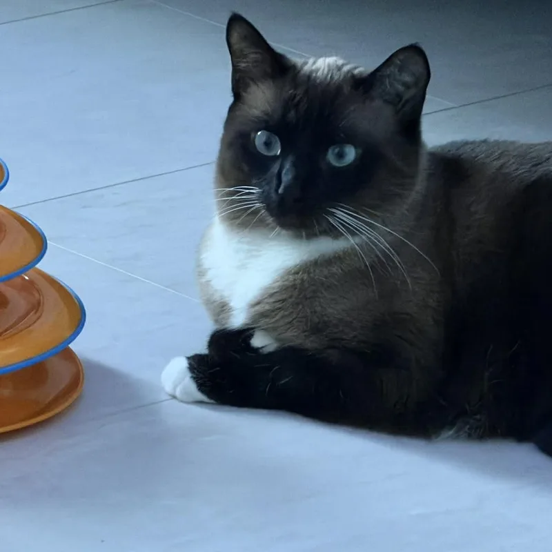 Super Nova thumbnail 2