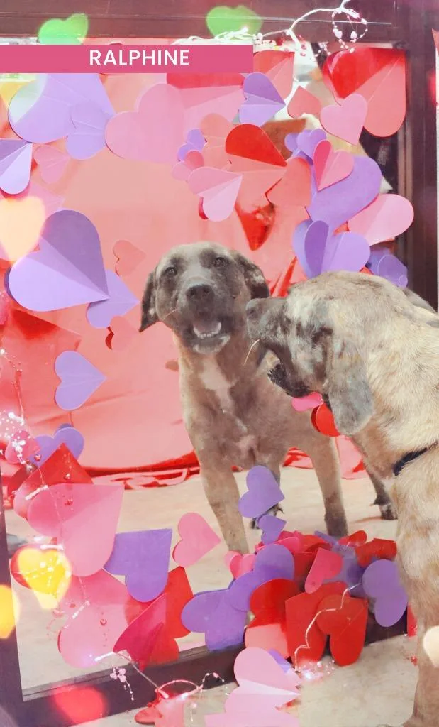 Ralphine thumbnail 2