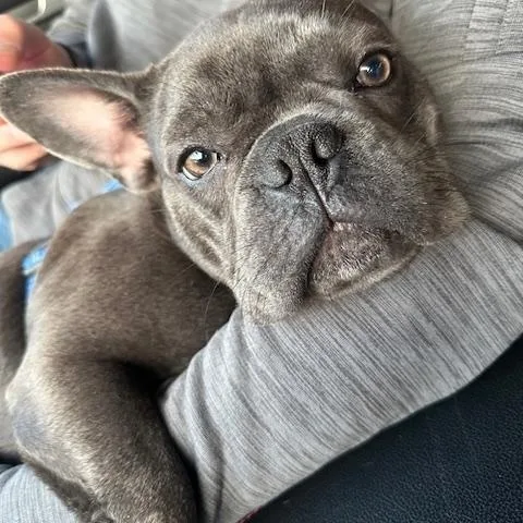 Miko & Beni thumbnail 2