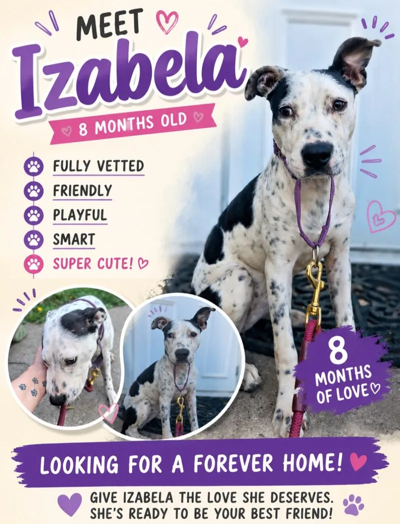 Izabella thumbnail 2