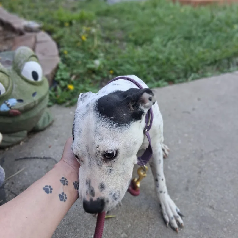 Izabella thumbnail 3