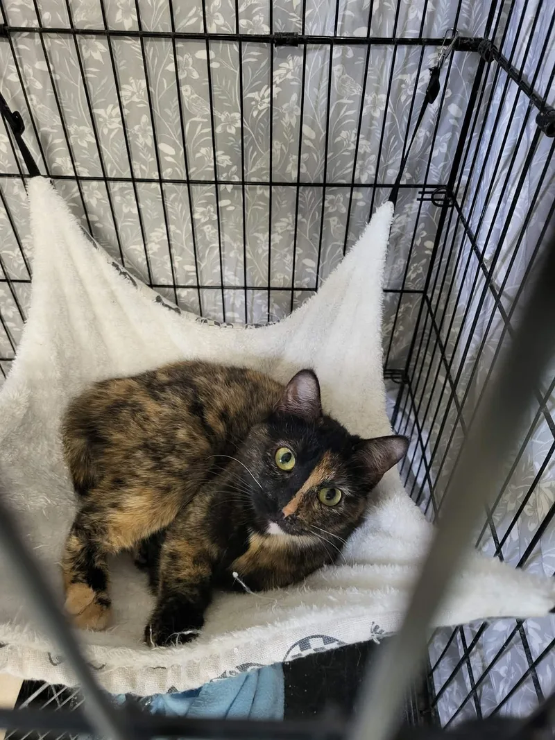 Jamie "james" Monroe thumbnail 3