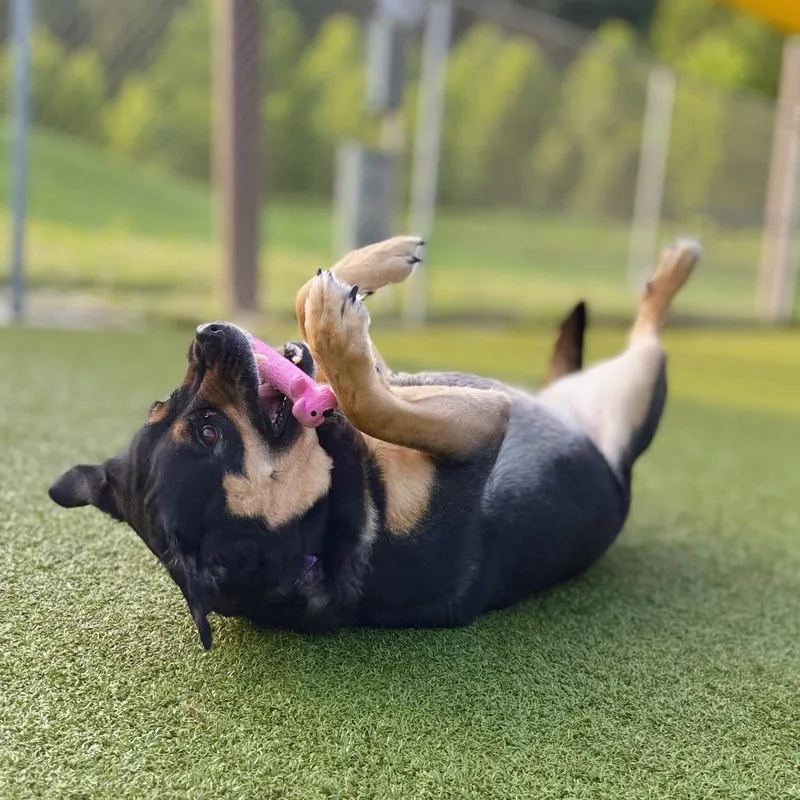 Boots thumbnail 3