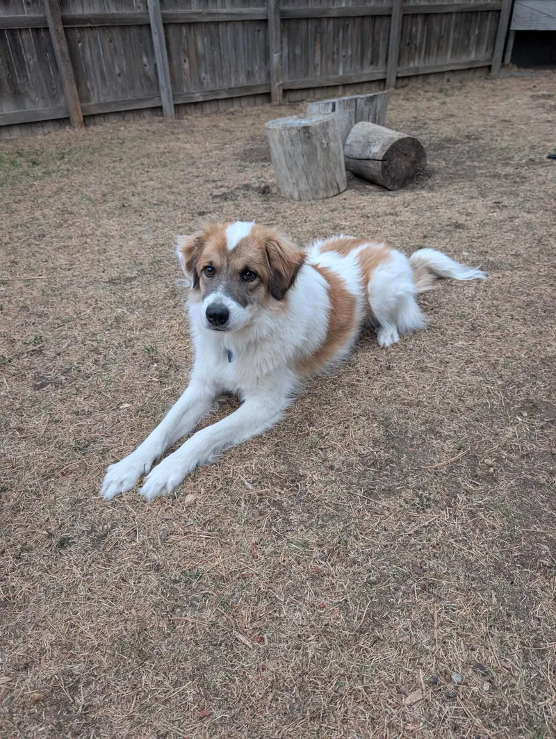 Cody Crockett thumbnail 3