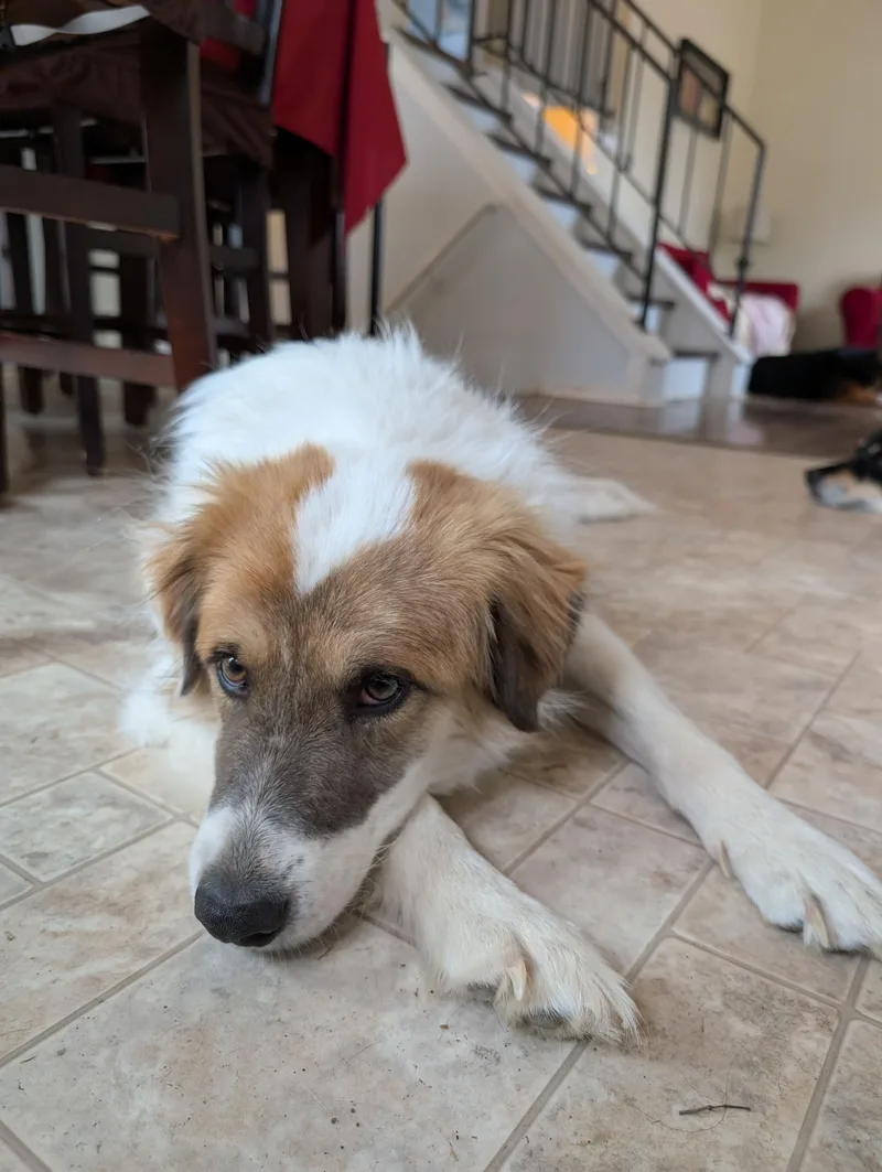 Cody Crockett thumbnail 4