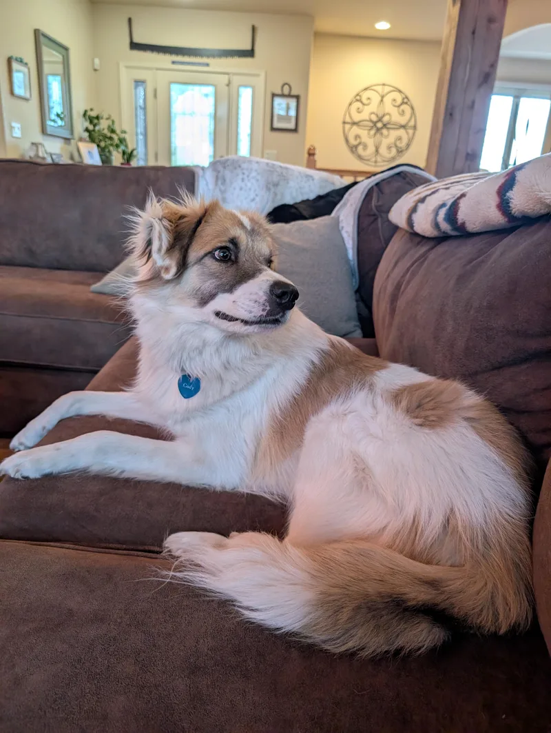 Cody Crockett thumbnail 5