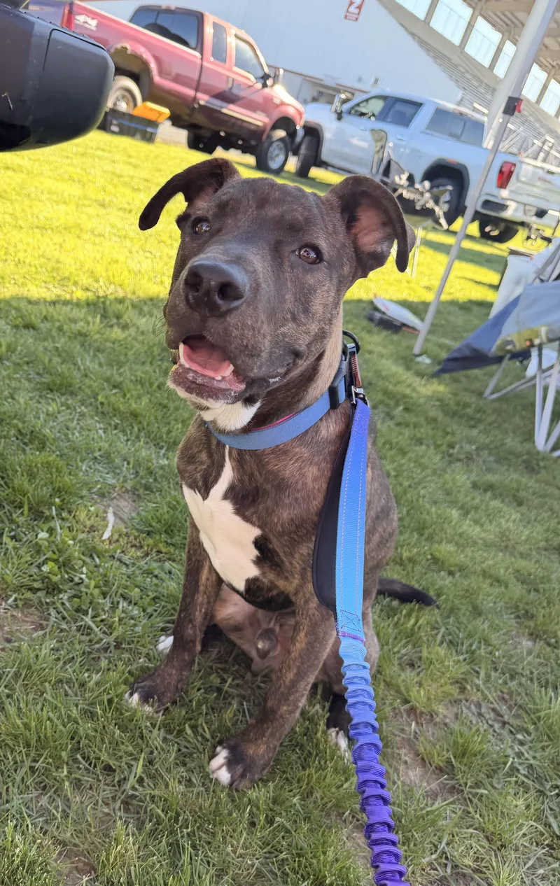 Snoop Dawg thumbnail 2