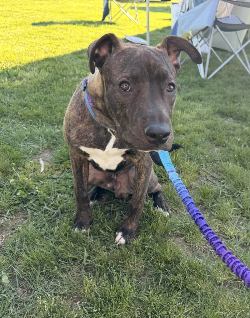 Snoop Dawg thumbnail 4