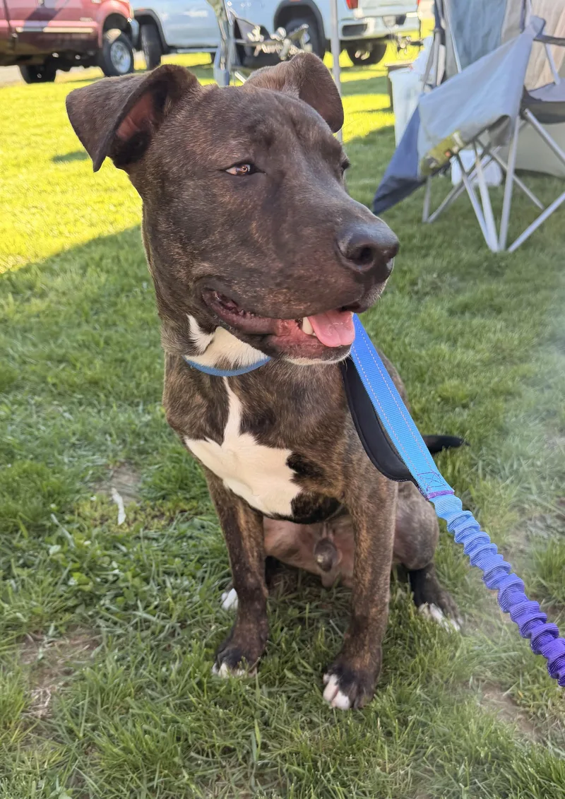 Snoop Dawg thumbnail 5