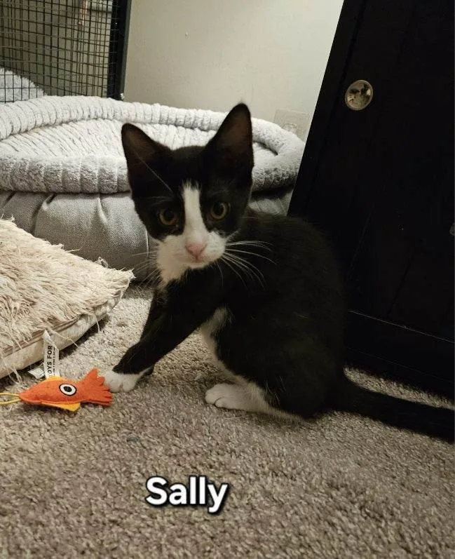 Sally