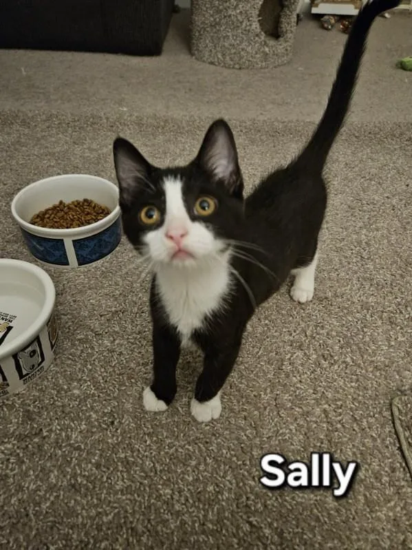 Sally thumbnail 2