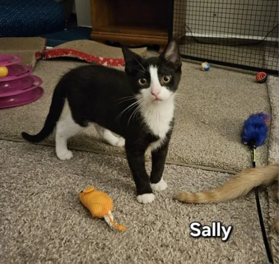 Sally thumbnail 5
