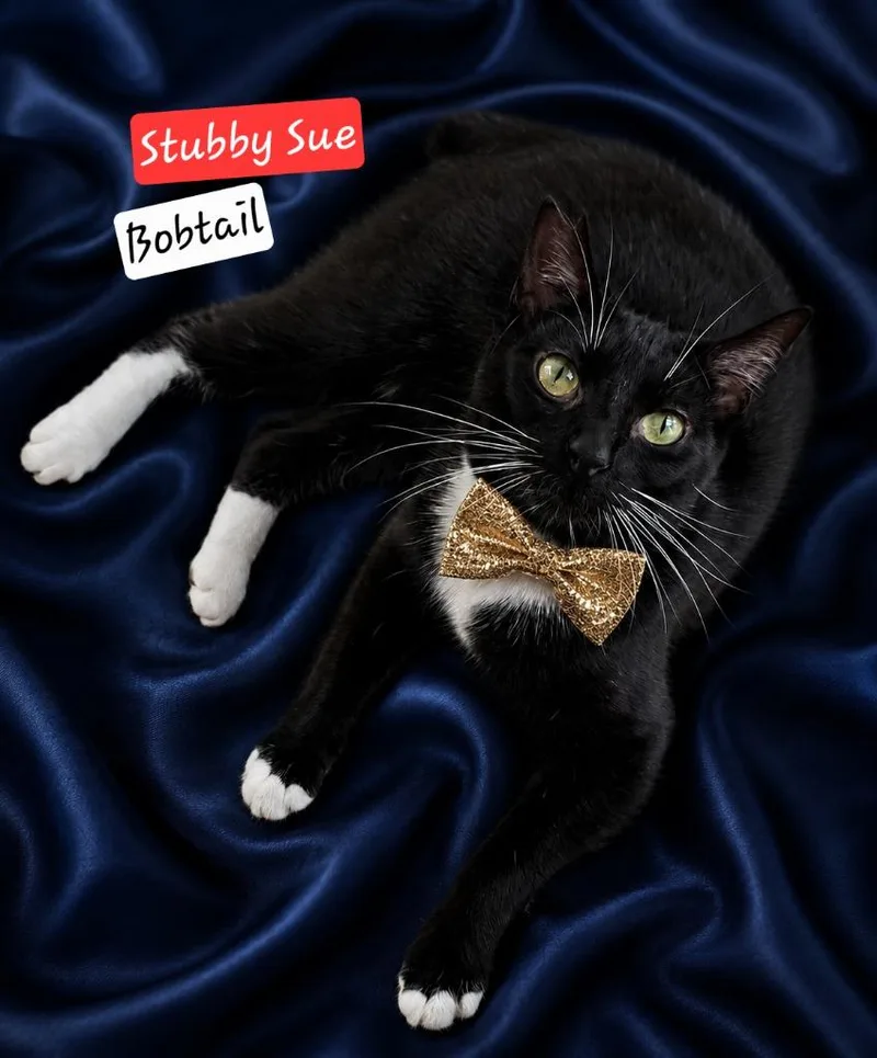 Stubby Sue thumbnail 2