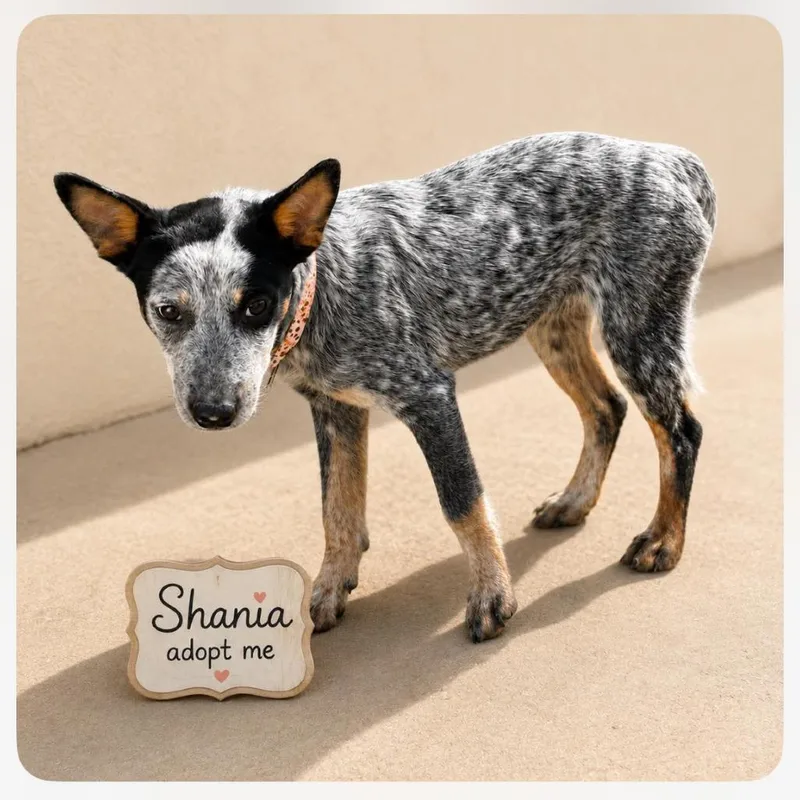 Shania
