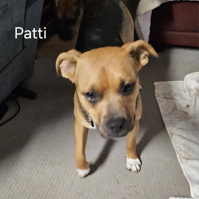 Patti thumbnail 3