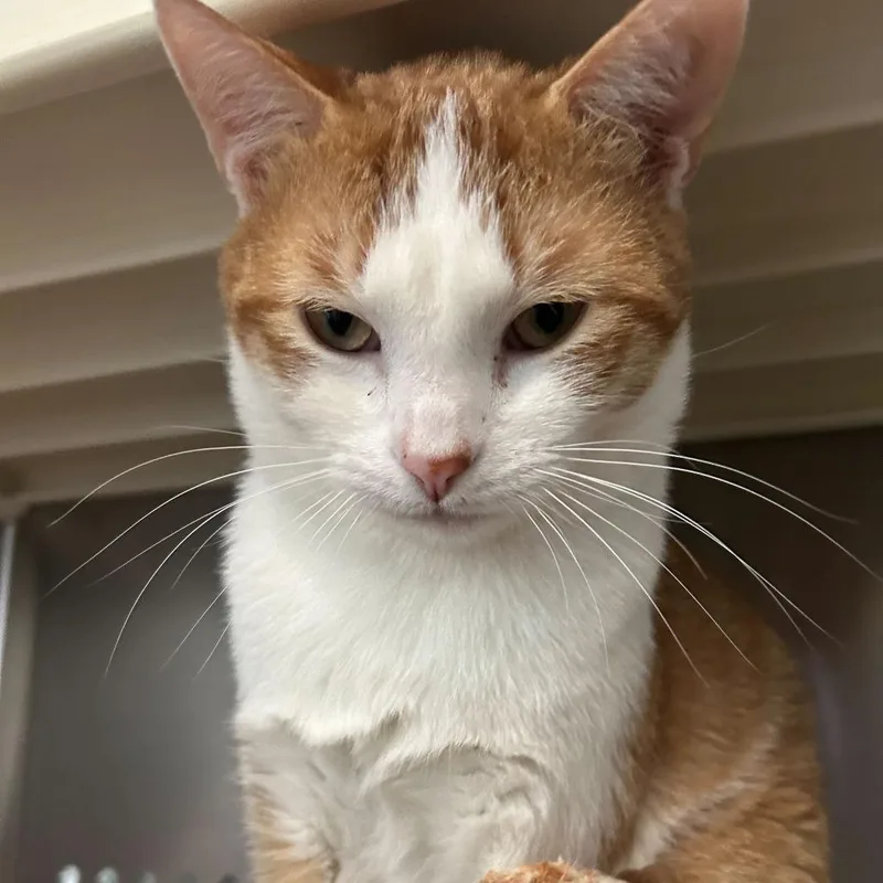 Hercules thumbnail 2