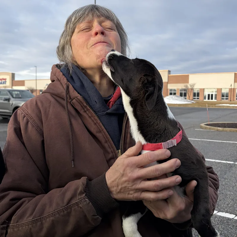 Mighty Mouse thumbnail 3